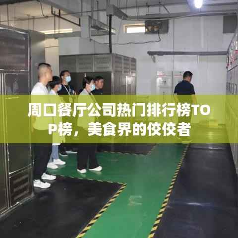 周口餐厅公司热门排行榜TOP榜,美食界的佼佼者