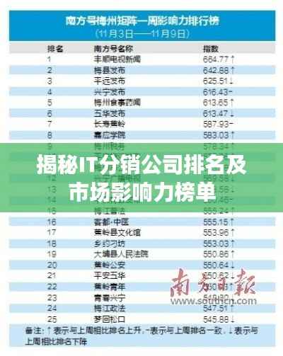 揭秘IT分销公司排名及市场影响力榜单