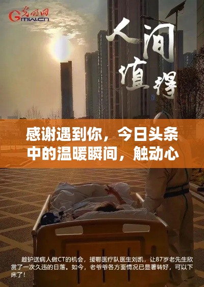 高鸟尽良弓藏 第3页