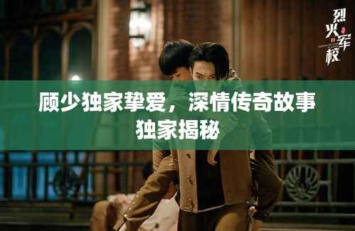 顾少独家挚爱,深情传奇故事独家揭秘