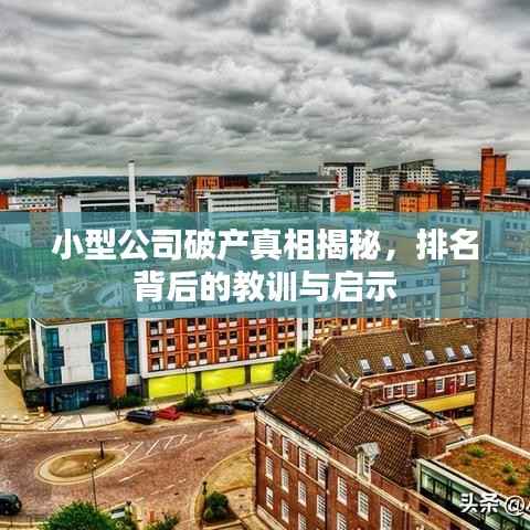 小型公司破产真相揭秘,排名背后的教训与启示