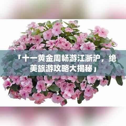 「十一黄金周畅游江浙沪,绝美旅游攻略大揭秘」