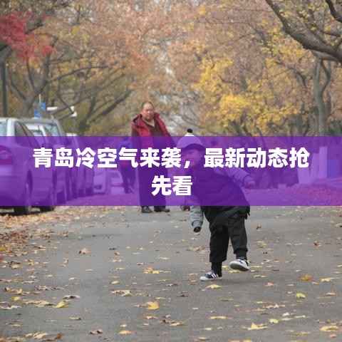 青岛冷空气来袭,最新动态抢先看