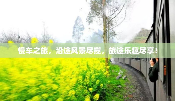 慢车之旅,沿途风景尽揽,旅途乐趣尽享!