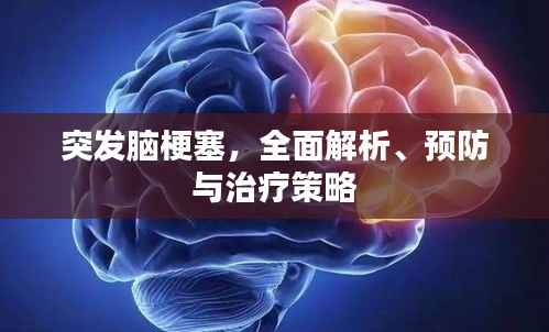 突发脑梗塞,全面解析、预防与治疗策略
