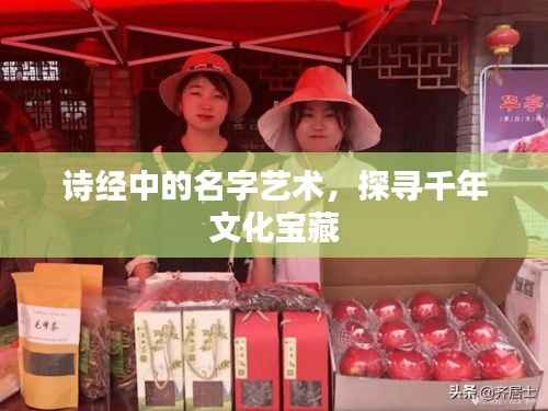 诗经中的名字艺术,探寻千年文化宝藏