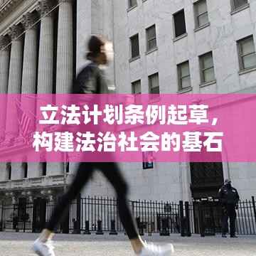 立法计划条例起草,构建法治社会的基石之路