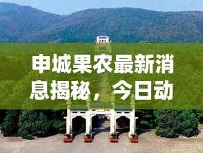 申城果农最新消息揭秘,今日动态一网打尽