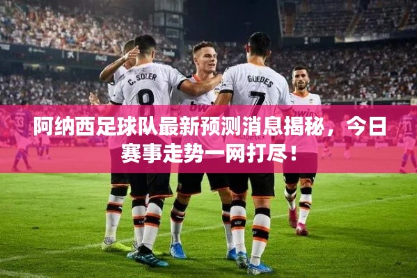 阿纳西足球队最新预测消息揭秘,今日赛事走势一网打尽!