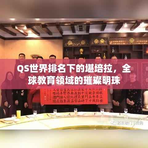 项目介绍 第134页