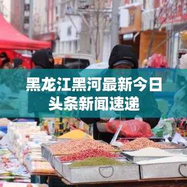 黑龙江黑河最新今日头条新闻速递