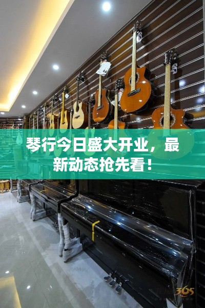 琴行今日盛大开业,最新动态抢先看!