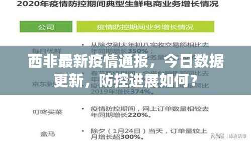 西非最新疫情通报,今日数据更新,防控进展如何?