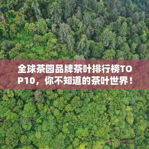 全球茶园品牌茶叶排行榜TOP10,你不知道的茶叶世界!