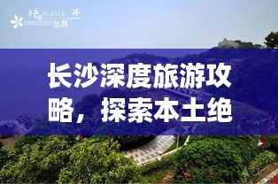 项目介绍 第119页