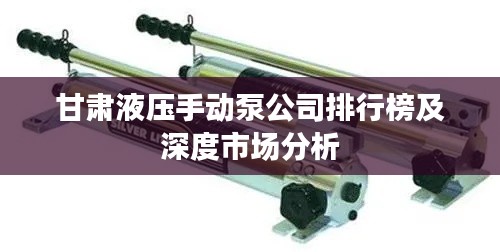 甘肃液压手动泵公司排行榜及深度市场分析