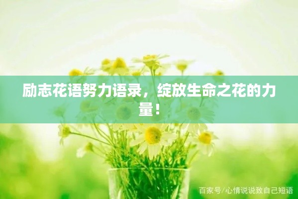 励志花语努力语录,绽放生命之花的力量!
