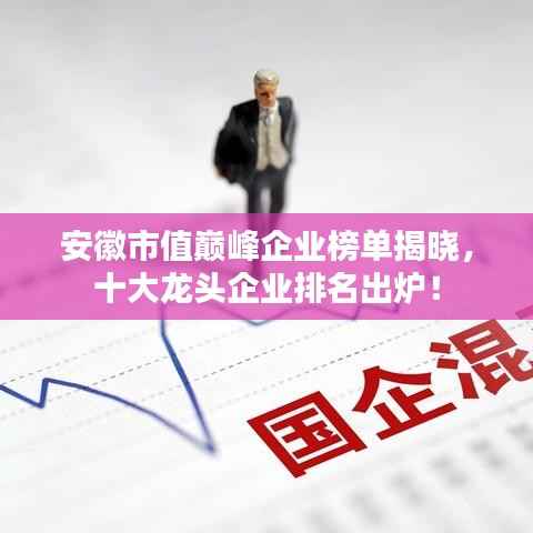 安徽市值巅峰企业榜单揭晓,十大龙头企业排名出炉!