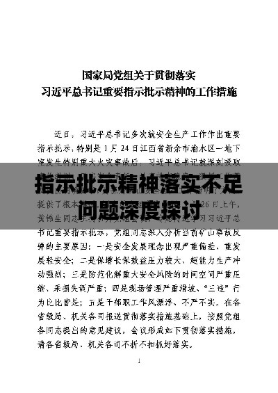 指示批示精神落实不足问题深度探讨