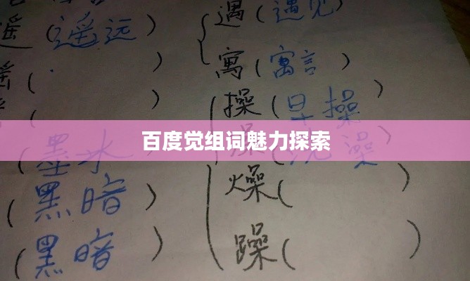 项目介绍 第109页