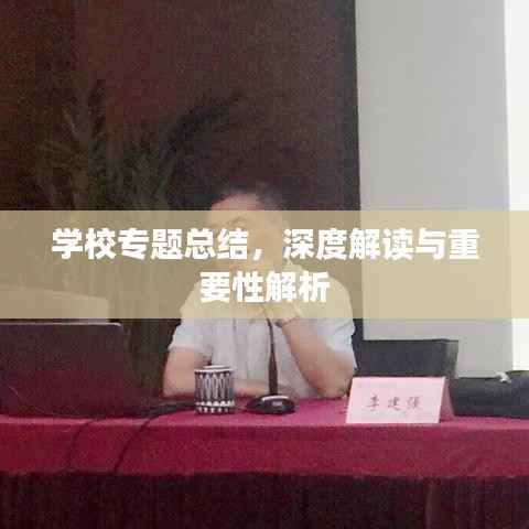 学校专题总结,深度解读与重要性解析