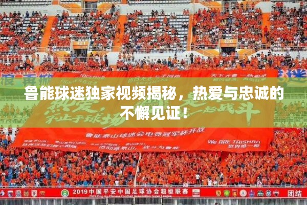 鲁能球迷独家视频揭秘,热爱与忠诚的不懈见证!