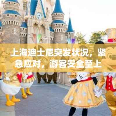 上海迪士尼突发状况，紧急应对，游客安全至上保障行动