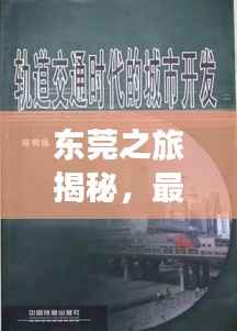 项目介绍 第101页