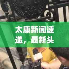 太康新闻速递,最新头条报道来袭!