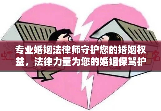 专业婚姻法律师守护您的婚姻权益,法律力量为您的婚姻保驾护航