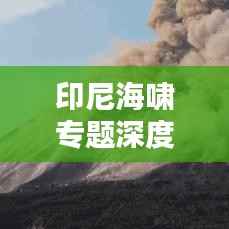 印尼海啸专题深度解析及应对策略探讨