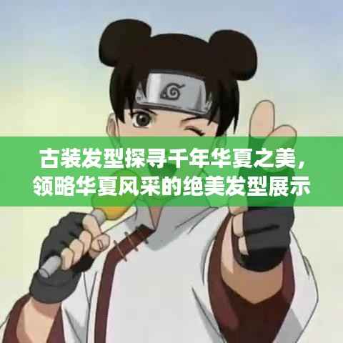 古装发型探寻千年华夏之美,领略华夏风采的绝美发型展示